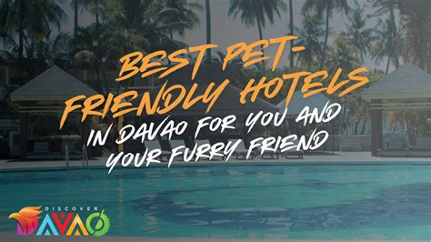 davao city cheap pet friendly hotels|Davao City Cheap Pet Friendly Hotels .